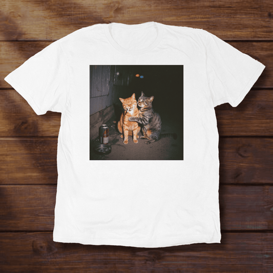 Average Orange Cat Moment - ReallyGoodTees