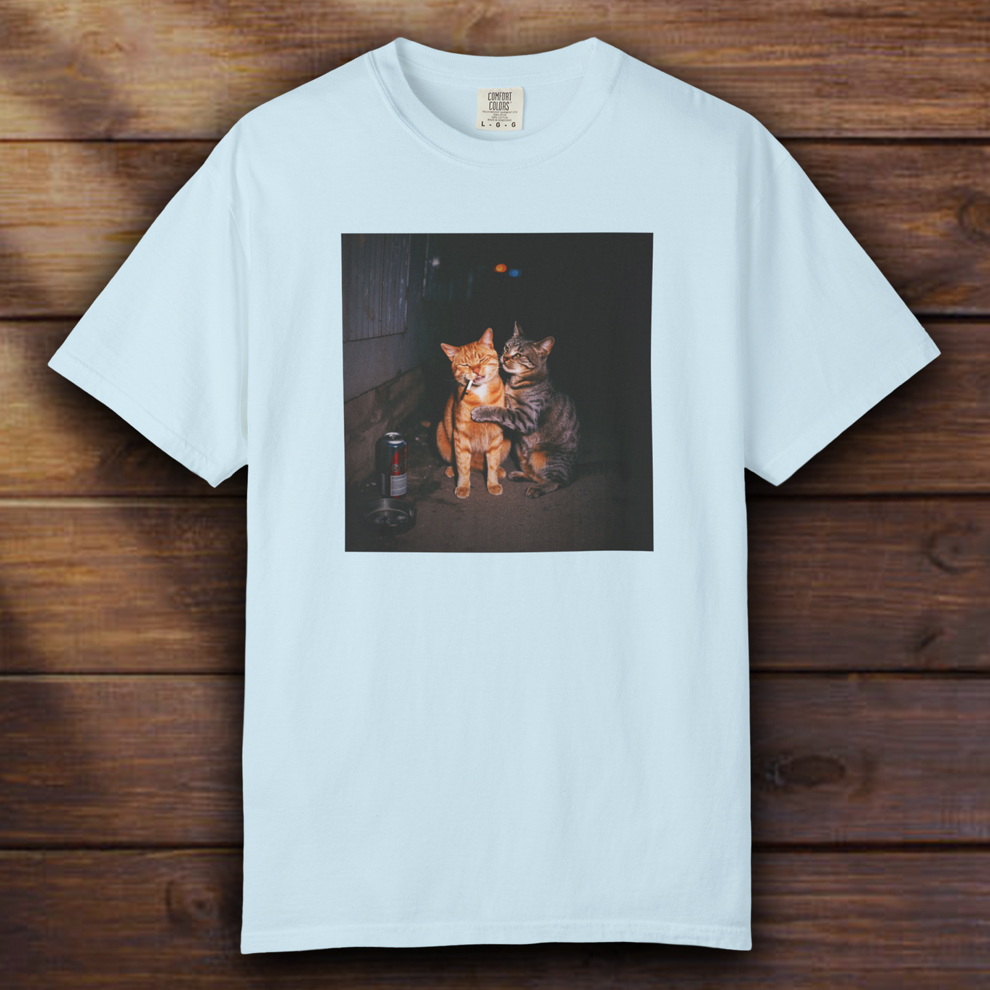 Average Orange Cat Moment