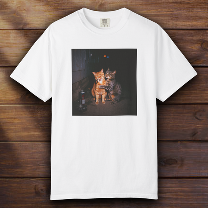 Average Orange Cat Moment