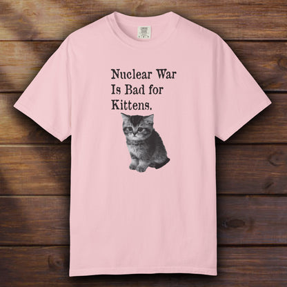 NUCLEAR WAR IS BAD FOR KITTENS