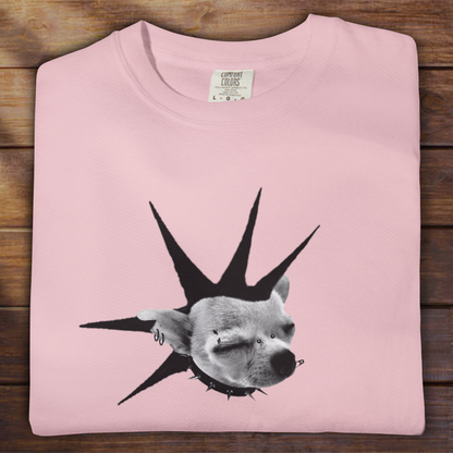 Punk Chihuahua