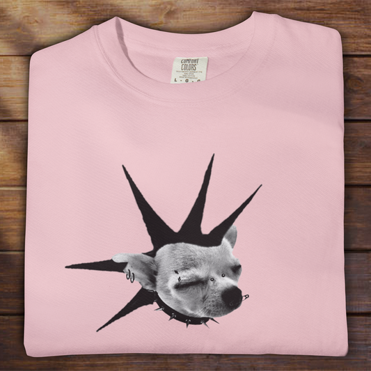 Punk Chihuahua